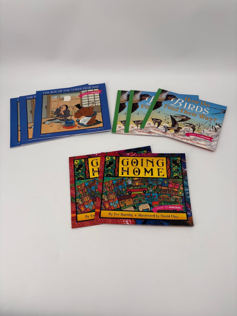 Lot of 8 Houghton Mifflin Soar to Success Reading Books Classroom Homeschool